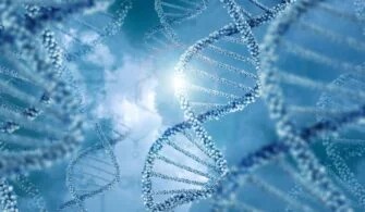 Baskın ve Çekinik (Resesif) Gen