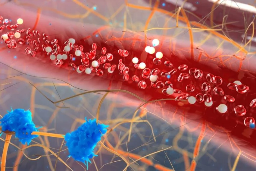 Glikojen Nedir? İçeren Besinler Hangileridir?