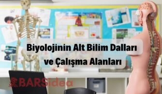 Biyolojinin Alt Bilim Dalları ve Çalışma Alanları