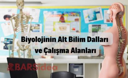 Biyolojinin Alt Bilim Dalları ve Çalışma Alanları