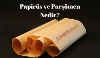 Papirüs ve Parşömen Nedir? Kim Buldu?