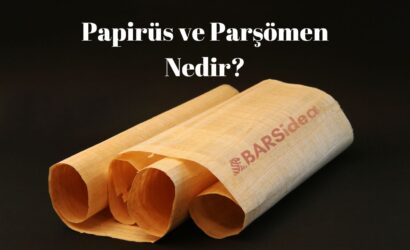 Papirüs ve Parşömen