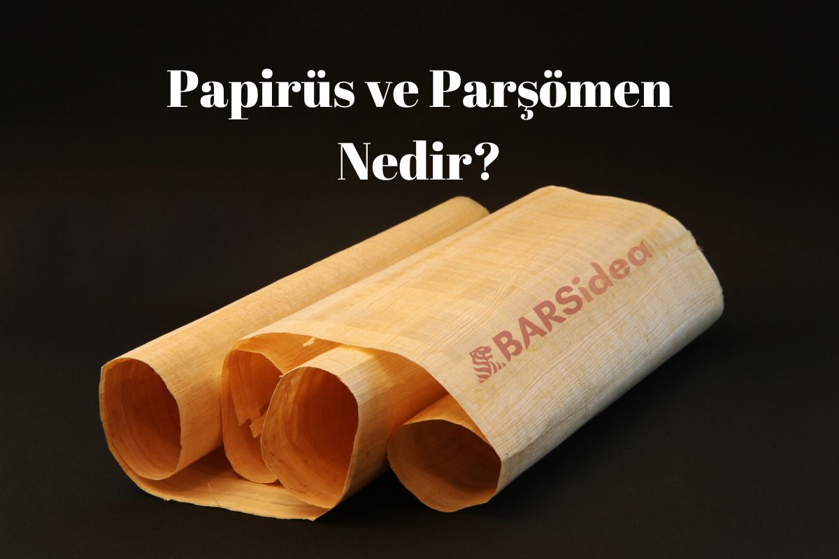 Papirüs ve Parşömen