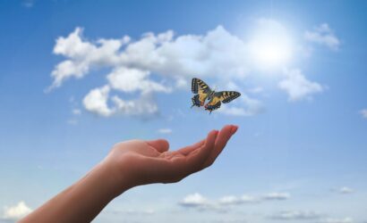 Determinizm ve indeterminizm